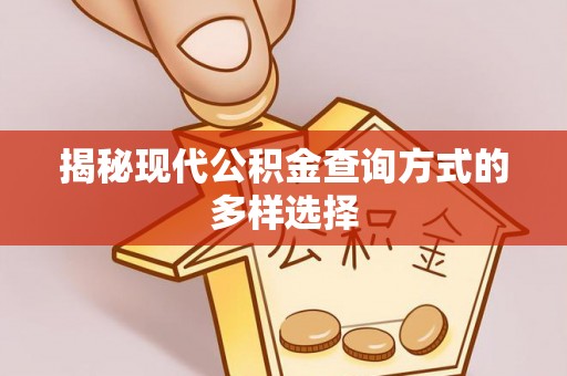 灵山揭秘现代公积金查询方式的多样选择