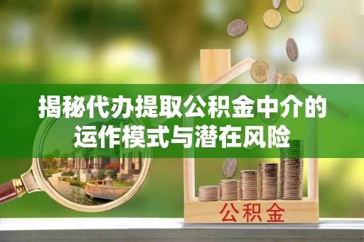 灵山揭秘代办提取公积金中介的运作模式与潜在风险